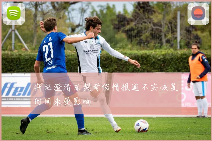 斯记澄清东契奇伤情报道不实恢复时间未受影响