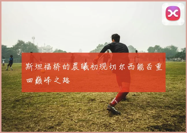 斯坦福桥的晨曦初现切尔西能否重回巅峰之路
